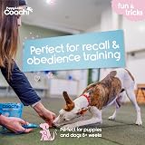 Coachi Whizzclick 2-in-1 Clicker and Whistle for Dogs Recall Training view 2