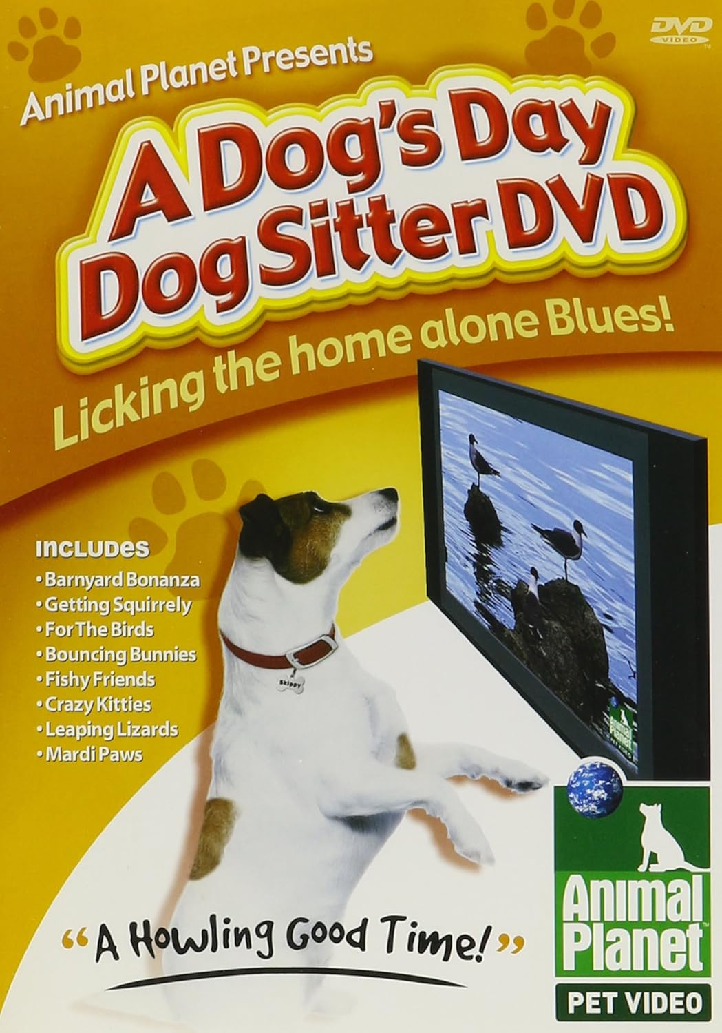 day dog sitters near me