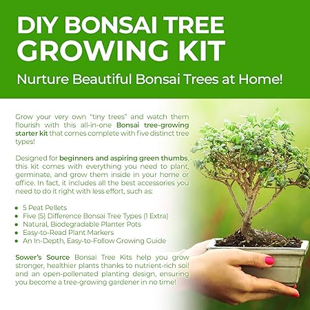 Amazon Com Bonsai Tree Starter Kit Indoor And Outdoor Beginner Seed Kit Soil Mix Biodegradable Planter Pots Plant Markers Growing Guide Grows 5 Unique Trees Garden Outdoor