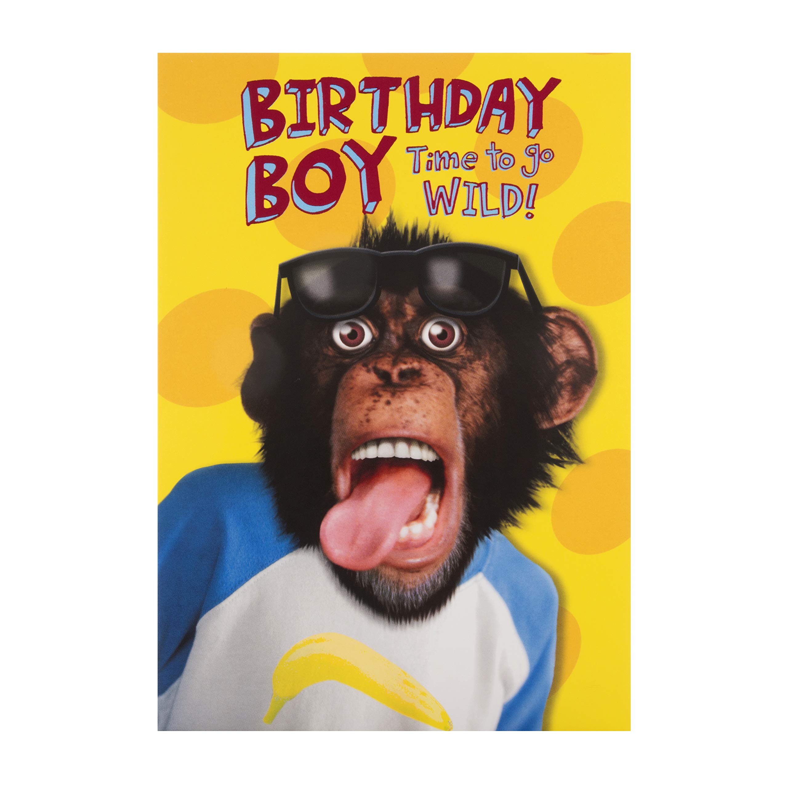 Hallmark Birthday Boy Card - Funny Photographic Monkey Design
