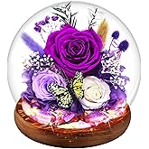 Purple Rose Valentines Day Gifts for her | Forever Rose Gift for Grandma Mom Birthday | Fresh Flowers for Delivery Prime Long-Lasting Real Flowers in Glass Dome | Gifts for Women Birthday Mothers Day