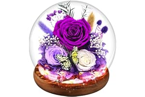 MOKOQI Flowers for Delivery Purple Forever Rose Gift for Women | Long-Lasting Real Flowers in Glass Dome | Christmas Birthday Gifts for Women Mom Sister