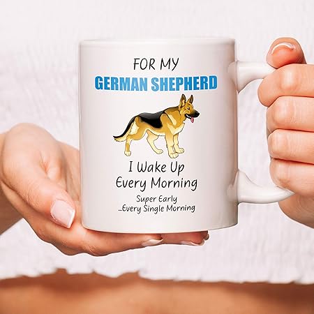 glofish tank accessories