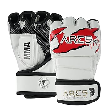 ARES Premium MMA Handschuhe | Verstärkte Nähte | Boxing, Punching, Sparring, Grappling Gloves | Jiu Jitsu Kampfsport Boxsack 