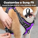 PoyPet No Pull Dog Harness Reflective Vest with 2 Leash Attachments (Purple, S) view 5