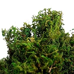 BYHER Artificial Moss Fake Green Grass for