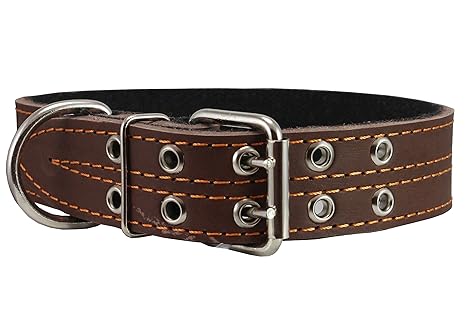Genuine Leather Dog Collar Padded Brown 15 Wide Fits 18 22 Neck Size Cane Corso Rottweiler