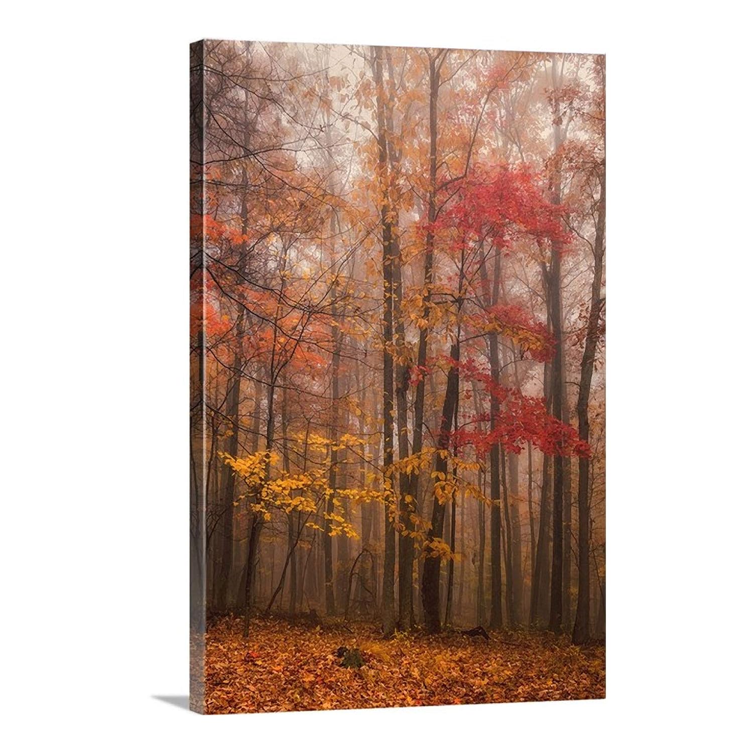 Amazon.com: Fall Decor, Canvas Wall Art Photo, Autumn Landscape Nature