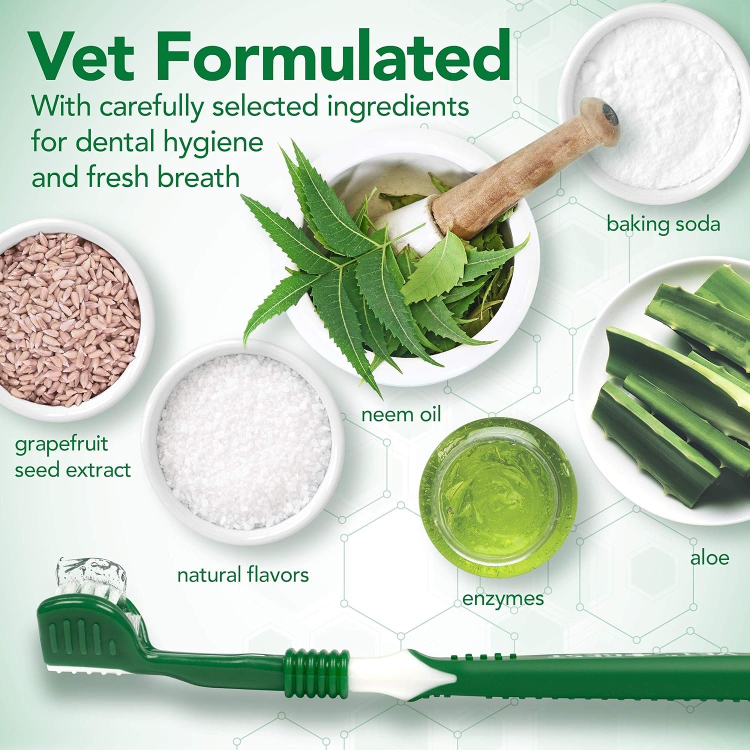 Vet’s Best Dog Toothbrush and Enzymatic Toothpaste Set | Teeth Cleaning and Fresh Breath Kit with Dental Care Guide| Vet Formulated : Pet Supplies