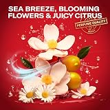 Old Spice Deep Sea Aluminium Free Deodorant Stick 6x50ml Men view 3