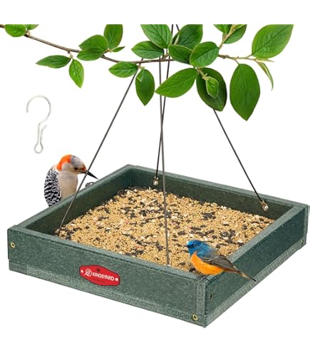 Amazon.com: Woodlink Going Green Platform Bird Feeder Model GGPLAT