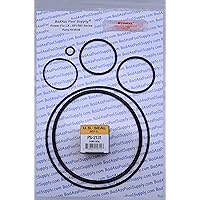 Carjo Southeastern Accessory Pool Pump ORing Seal Repair