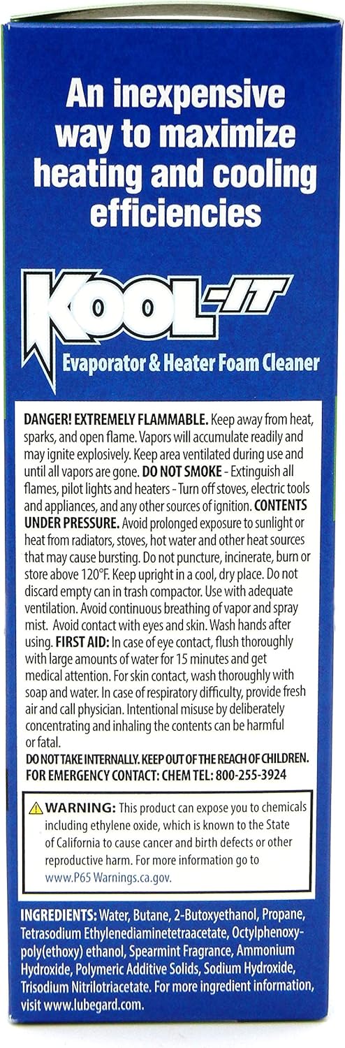 Lubegard 96030 Kool-It Evaporator and Heater Foam Cleaner: Automotive