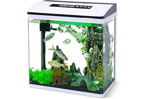 Bluecoco Glass Aquarium Fish Tank Starter Kit with Temperature and Time Display for Betta Fish Featuring Crystal Clear 360° Viewing, Eco-Cycle Filtration, Air Pump 6 Gallon
