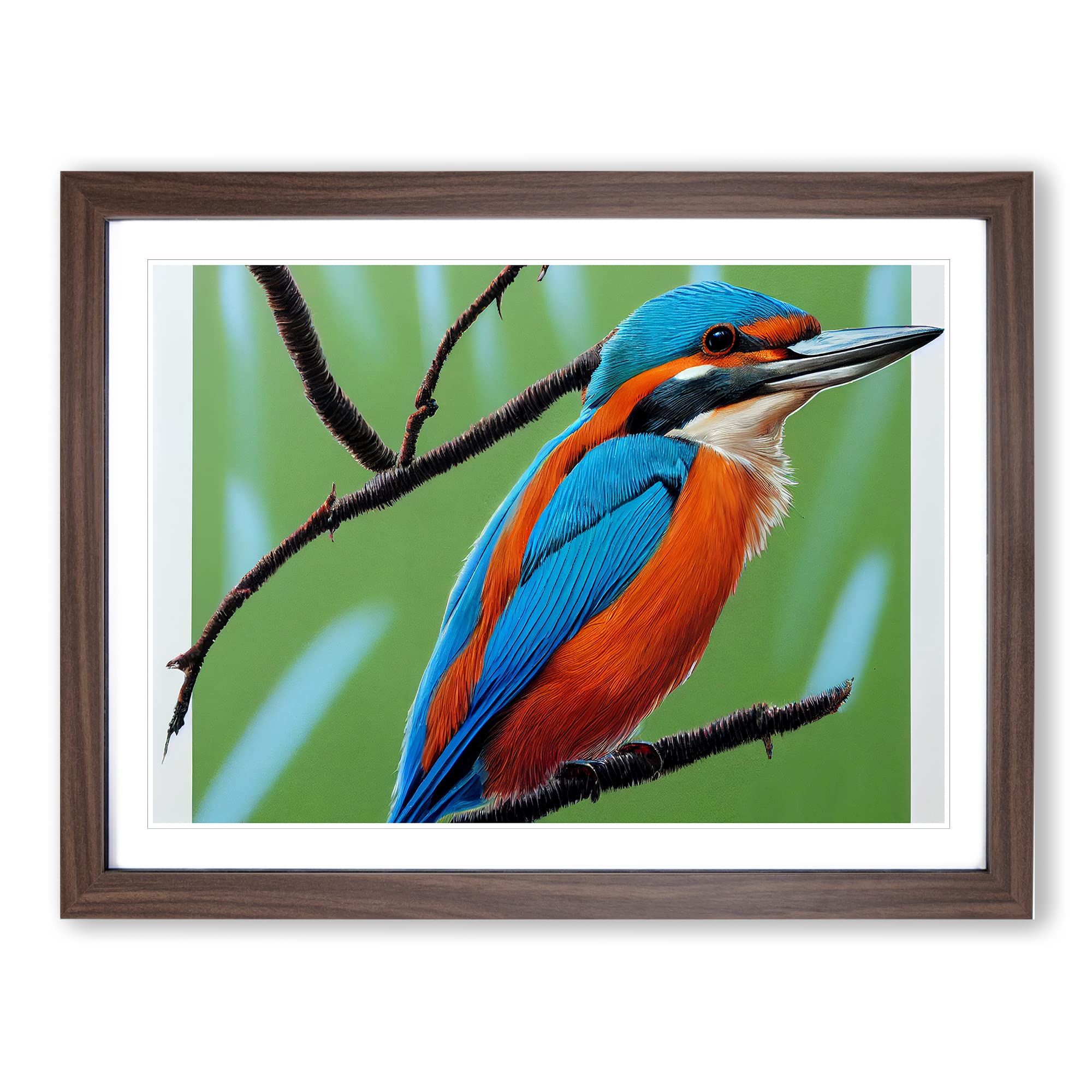 Radiant Kingfisher Bird Framed Print | A4 Walnut Framed Wall Art | Ready to Hang | Modern Nature Picture | Living Room Bedroom Lounge Office