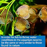 API 5-IN-1 TEST STRIPS Freshwater Saltwater Aquarium 4-Count Box view 5