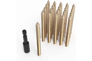 Pisman 1/4"X 3" 20PCS Single Pointed Double Ended Screws Have Various Sizes.