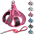 AIITLE Puppy Harness for Small Dogs - Lightweight Air Mesh Puppy Harness - Step in Dog Harness with A Leash - No Pull & No Choke Padded Vest- Reflective Dog Harness for Small Dogs Cats Hot Pink XXS