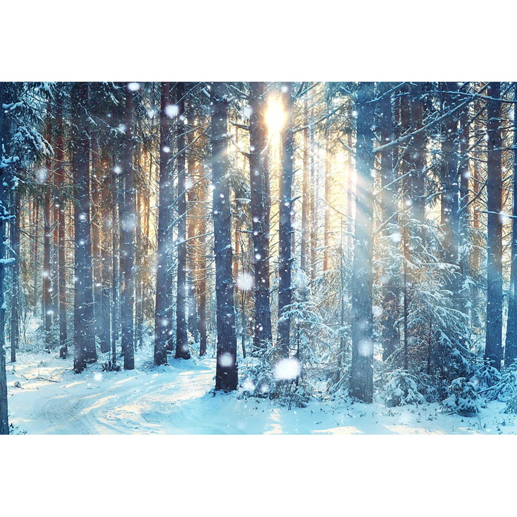 MIRRORANG 3x2,5m Winter Forest Backdrop Winter Scenery Snowing Sunshine Halo Christmas Background for Photography New Year Decor Christmas Photo Wallpaper, Vinyl