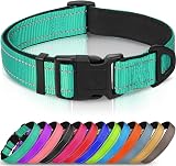 Joytale Reflective Dog Collar Nylon Neoprene Padded Medium Teal