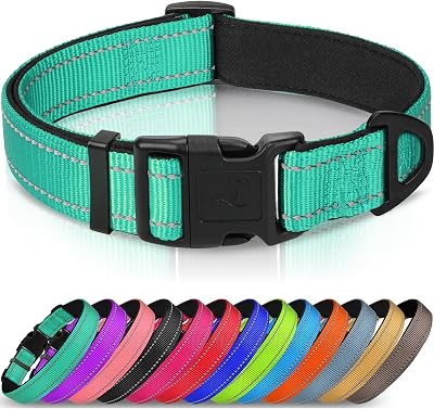 Joytale Reflective Dog Collar Nylon Neoprene Padded Medium Teal