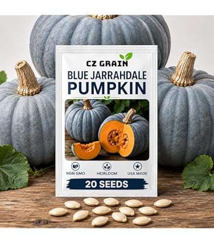Amazon.com: Red Kuri Squash 10 Seeds- Open-pollinated, Japanese