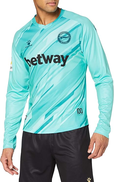 sports jersey definition