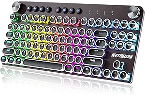 WOTIMILON Wireless Typewriter Keyboard Mechanical TKL, 2.4G/BT5.0/Wired WM87 Retro Vintage Gaming Keyboard Typewriter Style with Punk Round Keycaps True RGB Backlit and 2 Control Knobs, Clicky Switch, Win/Mac