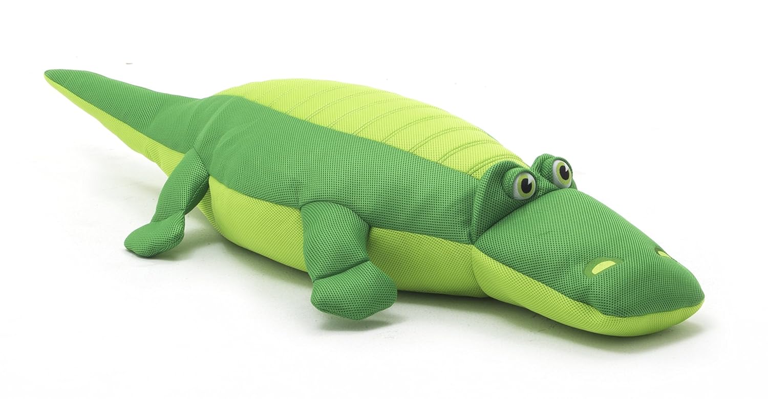 Best big joe bean bag water float