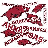 Desert Cactus University of Arkansas Sticker Razorbacks U of A Hogs Vinyl Decals Laptop Water Bottle Car Scrapbook Sheet T1 (Type 1-1)