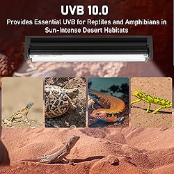 Jaenmsa T5 10.0 UVB Light Fixture for Reptiles, 8W