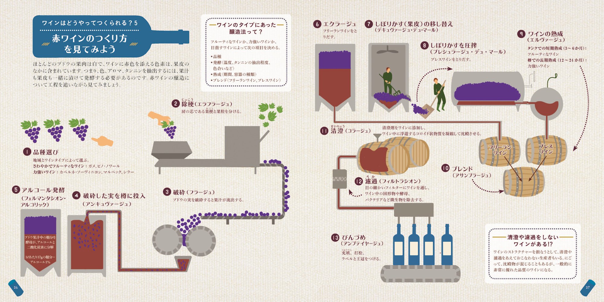 大人のためのワイン絵本 ブドウのこと ワインのつくられ方 産地のこと ヴィンテージ テイスティング イラストだから本格的な知識をたのしく学べる ファニー ダリュセック 奥山 久美子 本 通販 Amazon