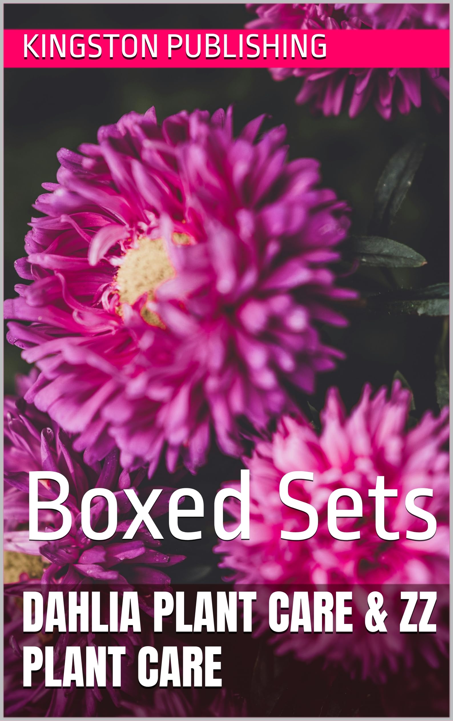 Radiant Dahlia Plant Care & ZZ Plant Care: Boxed