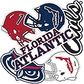Desert Cactus Florida Atlantic University Sticker Florida Atlantic Owls Vinyl Decal Laptop Water Bottle Car Scrapbook Sheet (Type 2-4)