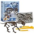 Amazon.com: Geoworld Smilodon Ice Age Dig Kit – Assemble a 9-Inch Saber ...