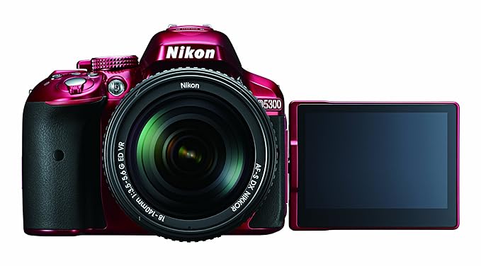 Nikon D5300 - Cámara digital (Auto, Nublado, Flash, Fluorescente ...