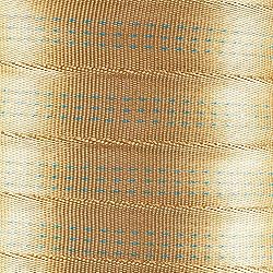Paracord Planet Tubular Webbing 1 Inches – Belt