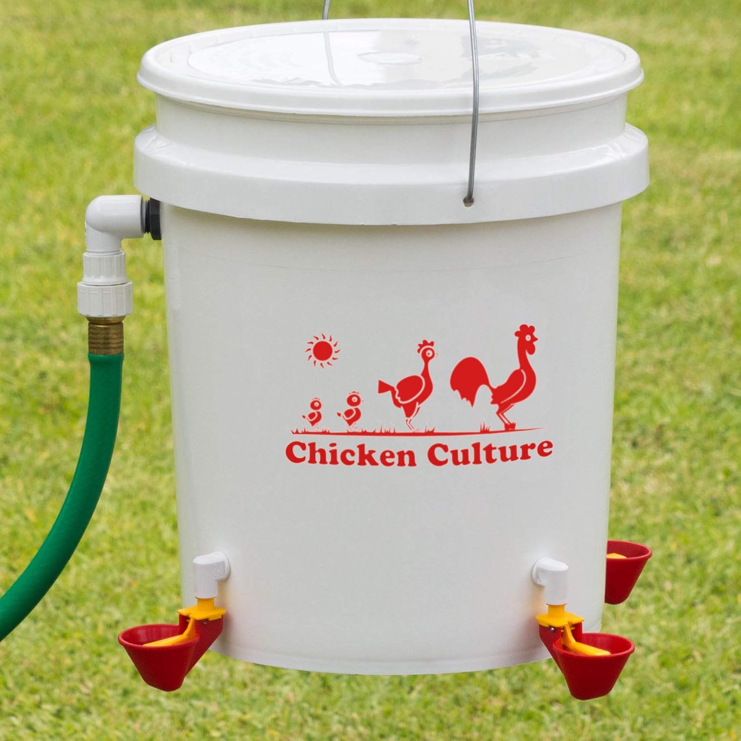 automatic water dispenser for chickens