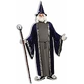 Forum Novelties Men's Wizard Adult Costume, Purple
