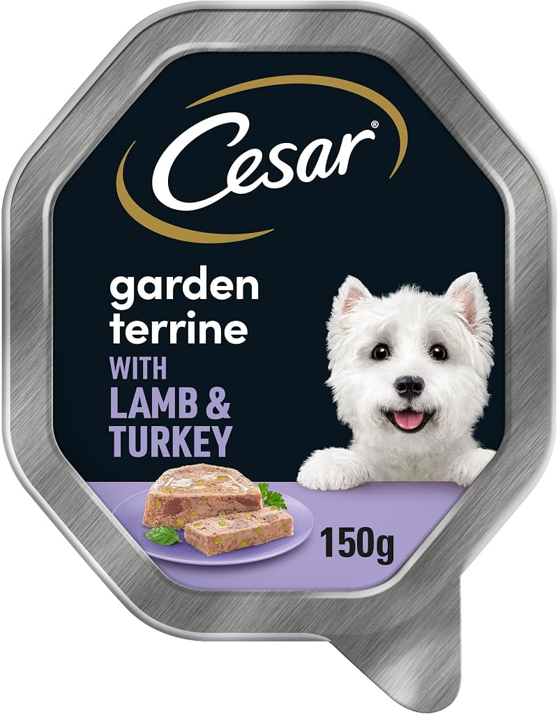 Cesar Premium Dog Wet Food Garden Terrine Loaf Lamb Turkey Green Beans 8x150g