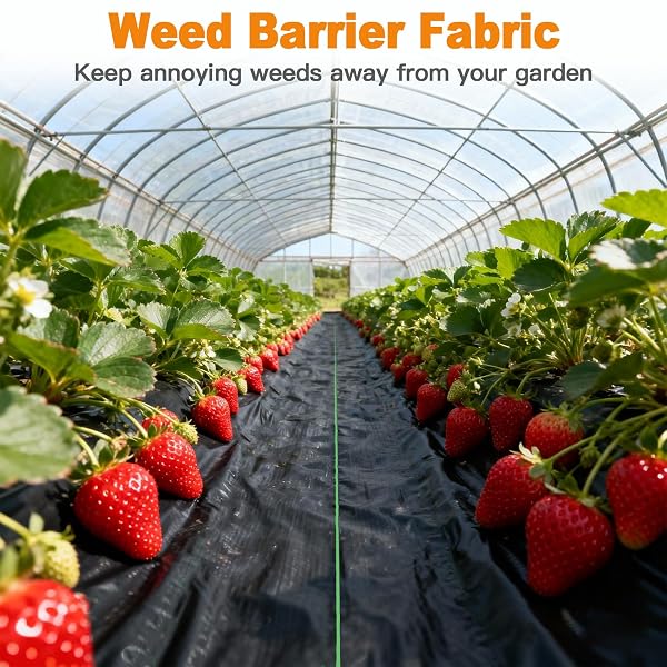 AMAGABELI 5.8OZ 4FT X 100FT WEED BARRIER LANDSCAPE FABRIC DOUBLE LAYER GARDEN CLOTH HEAVY DUTY WEED CONTROL BLOCKER MAT GARDENING GROUND COVER DURABLE WOVEN GEOTEXTILE FABRIC DRIVEWAY UNDERLAYMENT