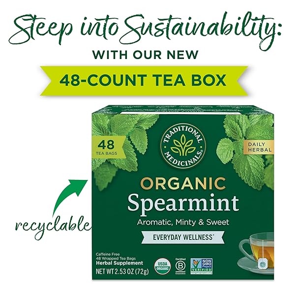 TRADITIONAL MEDICINALS TEA, ORGANIC SPEARMINT, SUPPORTS EVERYDAY WELLNESS, HEALTHY & REFRESHING – 48 TEA BAGS