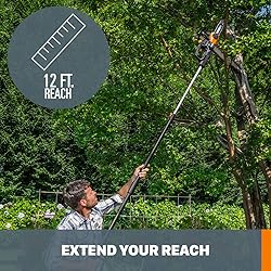 Worx WG323 20V Power Share 10" Cordless Pole/Chain