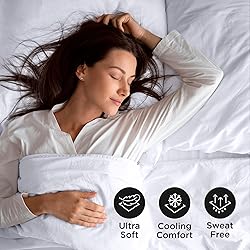 Royale Linens Queen Flat Sheet - Ultra Soft Brushed