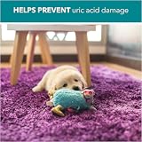 RSPCA 2 x 500ml Pet Stain and Odour Remover Wee Away Probiotic Cleaning view 3
