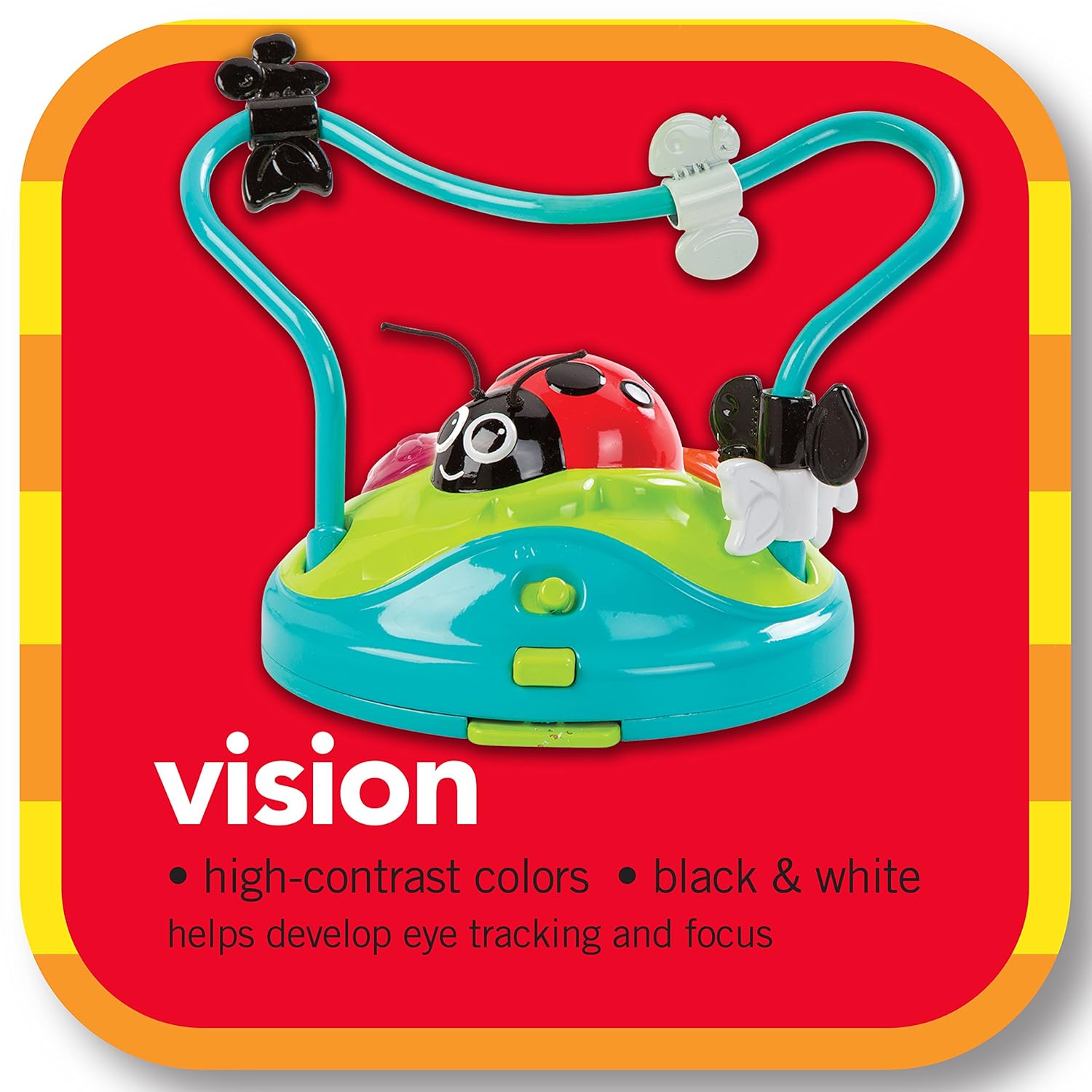 sassy inspire the senses bounce around