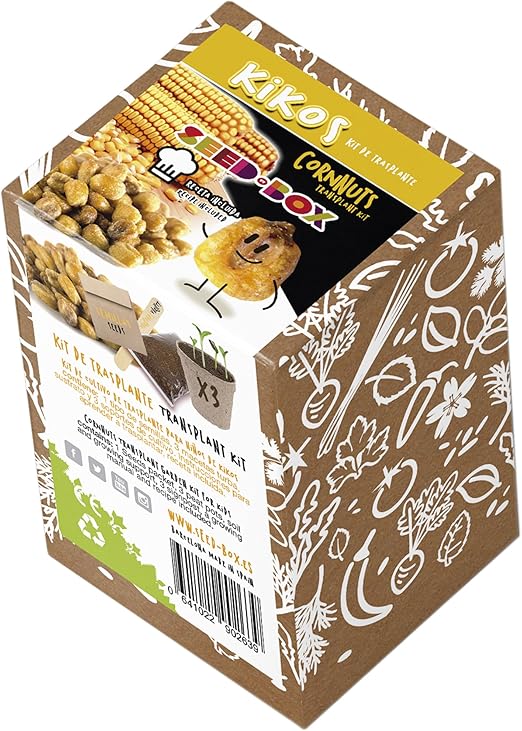 SeedBox KTKKK Huerto Urbano kit trasplante de kikos, para niños ...