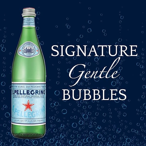 S.PELLEGRINO SPARKLING NATURAL MINERAL WATER, 25.4 FL OZ