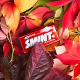Smint Sugar Free Strawberry Mints 12 x 50 XXL Tins Vegetarian view 7