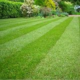Viano MO Bacter Organic Lawn Fertiliser & Moss Killer 5kg Decanted view 3